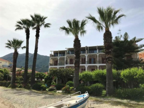 Palm Trees Hotel